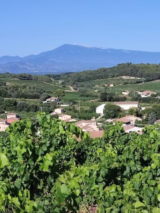 Maison De Village Châteauneuf-du-Pape Extérieur photo